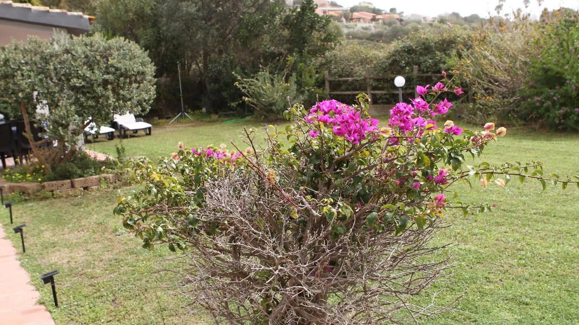 公寓 Villa Aurice Ottima Posizione Vicina Al Mare Di 维拉西米乌斯